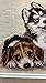 RIOLIS - Puppies 2221, Dogs Cross Stitch Kits 15¾