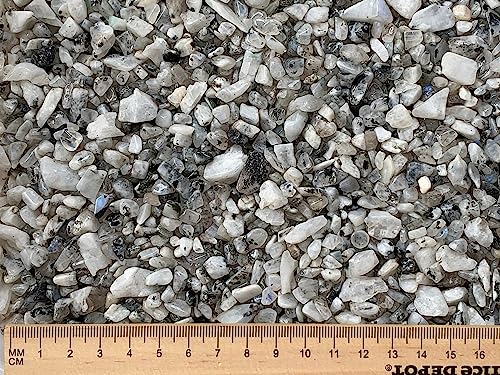 Image of GAF TREASURES 2 oz Lot Natural Semi Tumbled Gemstone Chips, Crushed Mini Crystals, Undrilled Crystal Chips (Rainbow Moonstone)