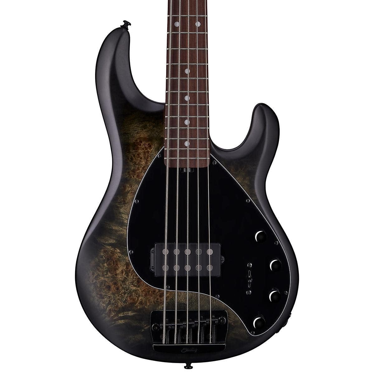 Amazon.com: Sterling By MusicMan 5 String Bass Guitar, Right