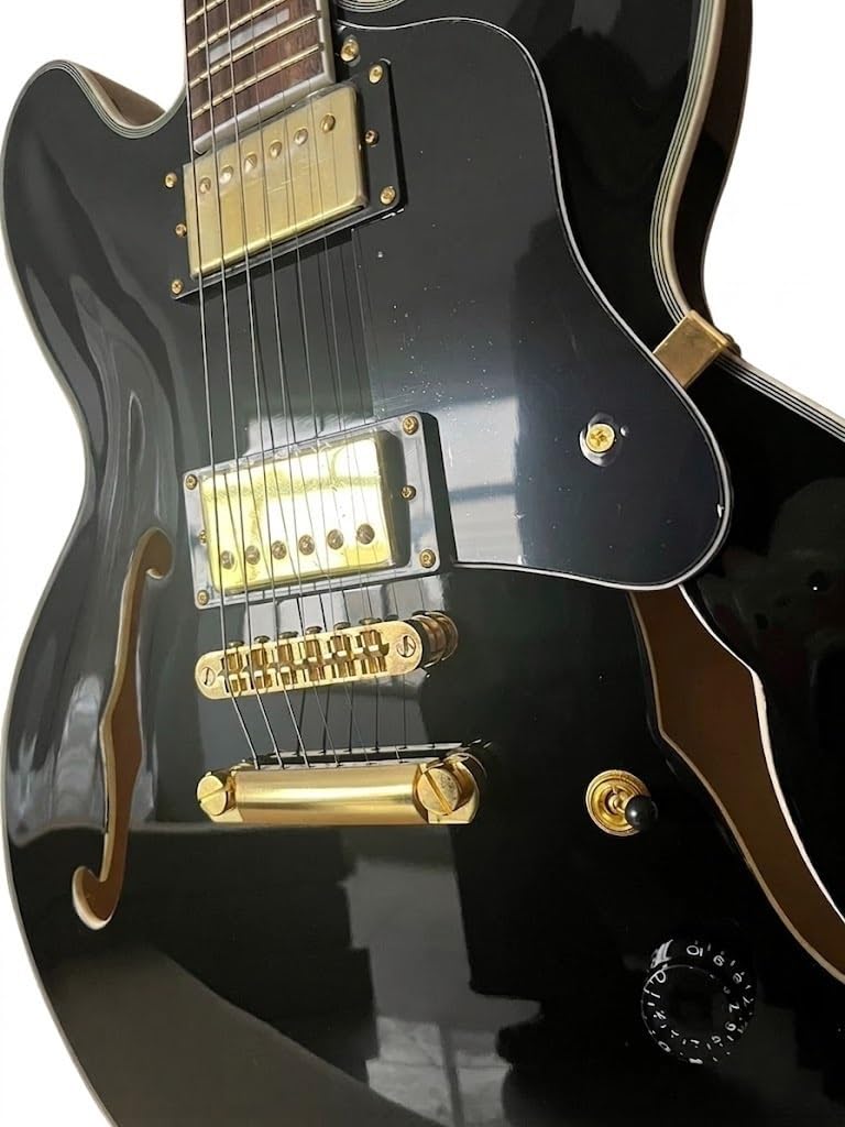 Chitarra elettrica a corpo semi-cavo, nera classica con fori a F e doppi humbucker, 6 corde full size for jazz blues rock (Guitarra elettrica)