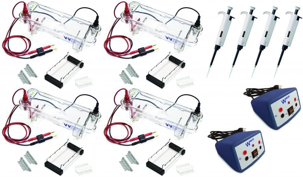 Parco Scientific PLE001-32 Electrophoresis Lab Set, Supports 32 Students