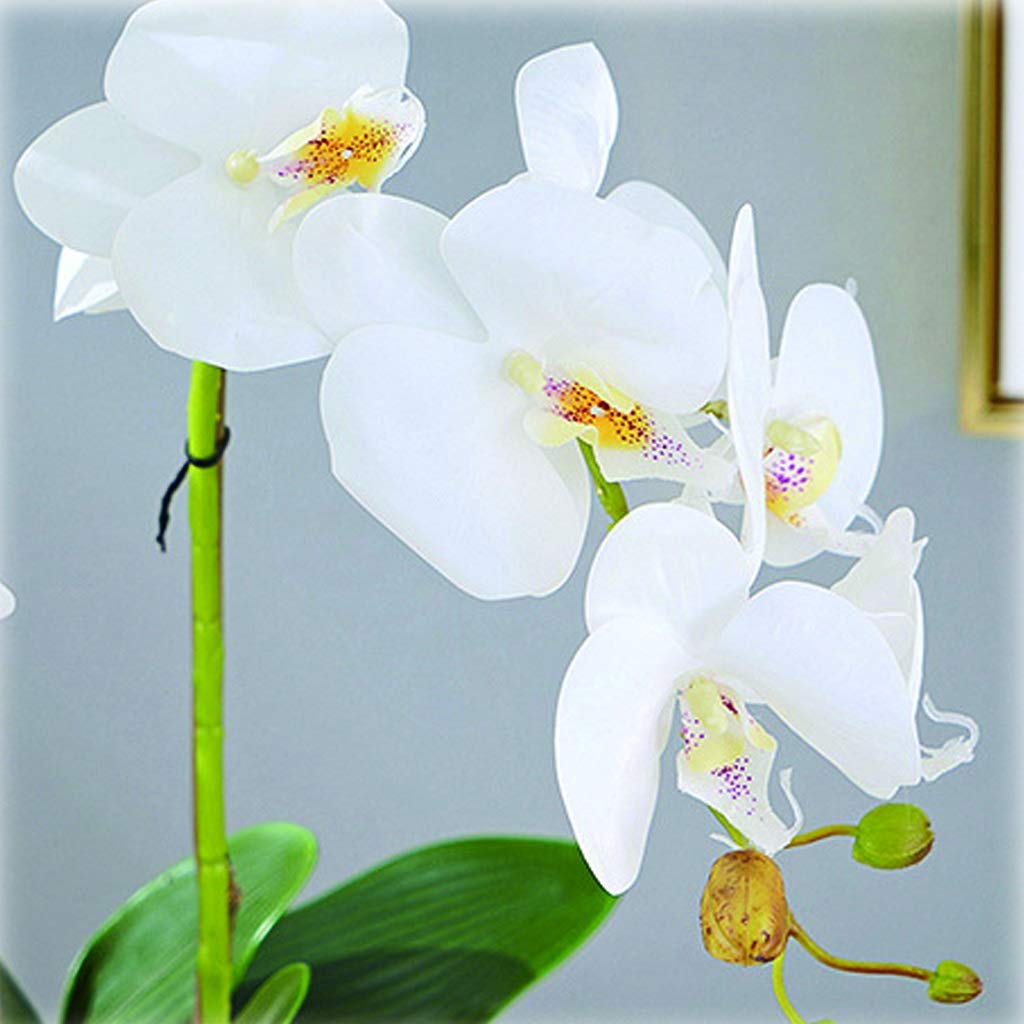 LUCBEI Sztuczne kwiaty sztuczny kwiat bonsai kompozycja kwiatowa Phalaenopsis kwiaty używane do domu biura domu, z wazonem sztuczne kwiaty bonsai