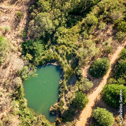 Qualidade de &aacute;gua para a irriga&ccedil;&atilde;o copertina