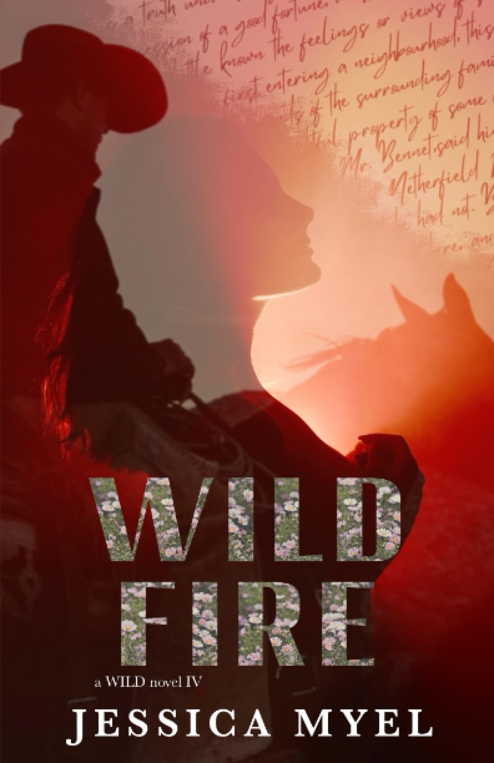 Wildfire: An Enemies to Lovers Arranged Marriage Small Town Romance: 4 (the WILD series)