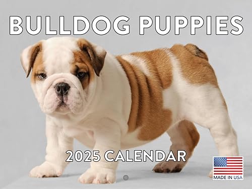 Vista 13 de Calendario Goldendoodle 2026 Golden Doodle mensual de pared calendario de 12 meses Fabricado en Estados Unidos