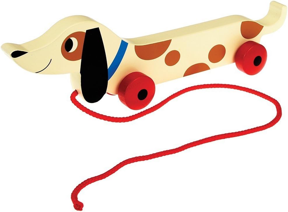 dog pull along toy