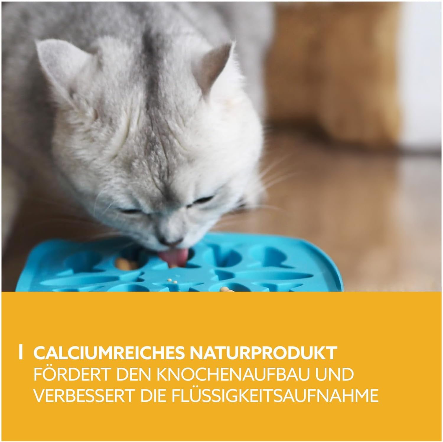 GimCat Puding Kedi Ödülü 150gr – Laktozu Azaltılmış Süt Lezzeti