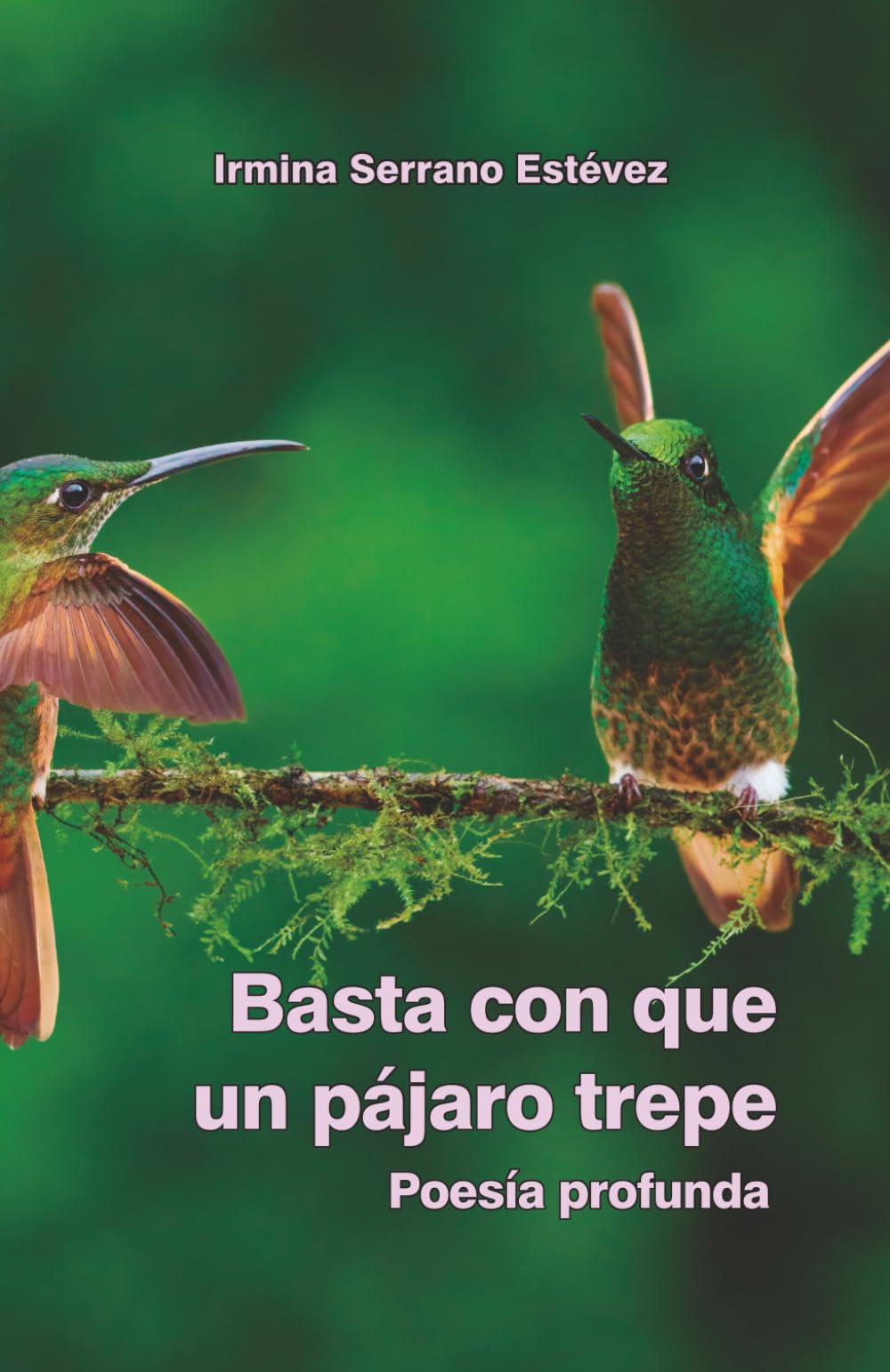 Basta con que un pájaro trepe: Poesía profunda