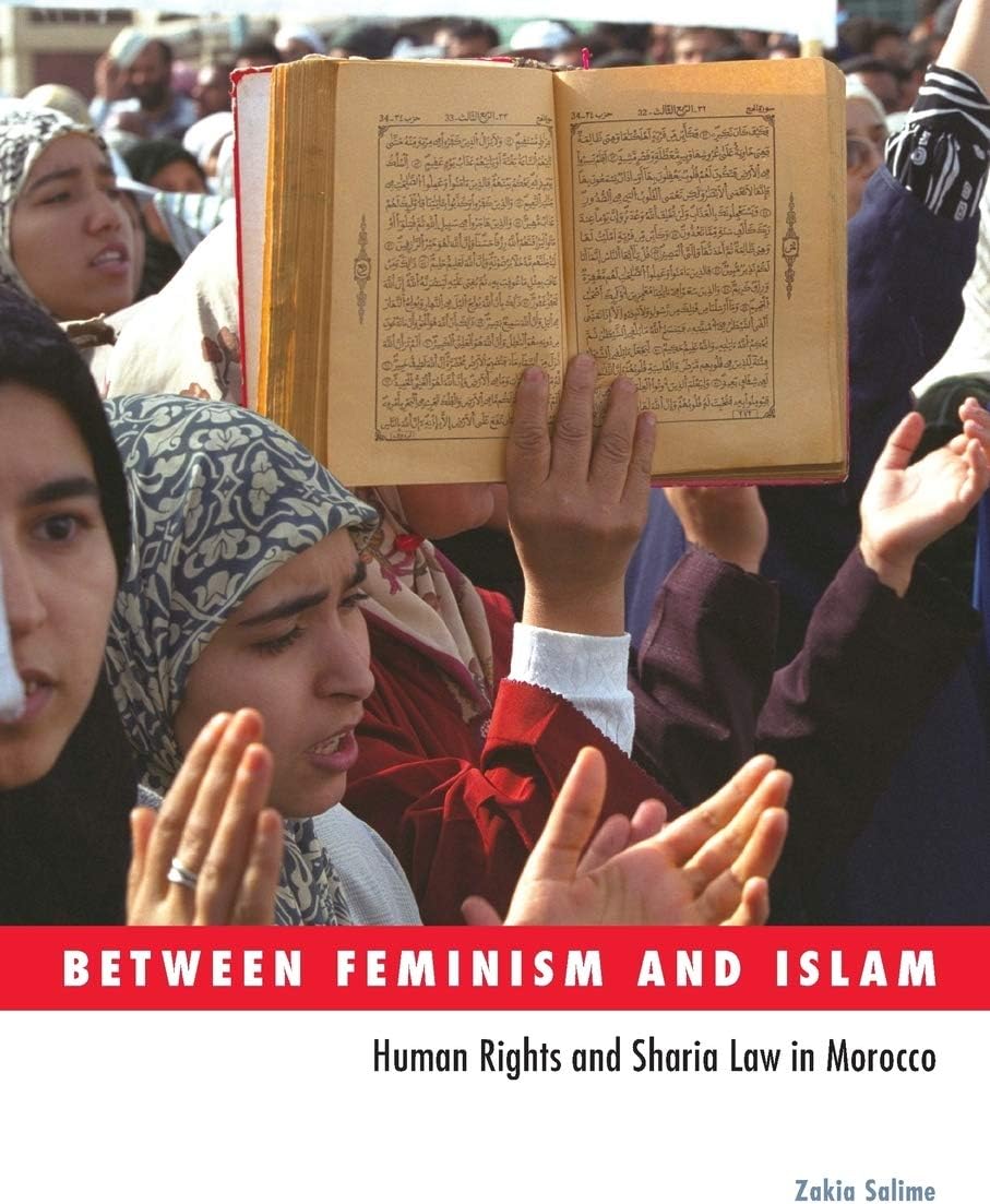 Between Feminism and Islam: Human Rights and Sharia Law in Morocco (Social Movements, Protest and Contention)