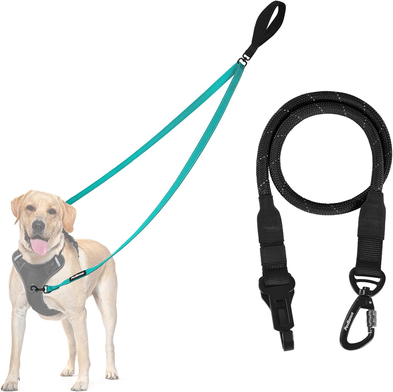 PetBonus Two Point Control Dog Leash and Dog Seat Belt for Car