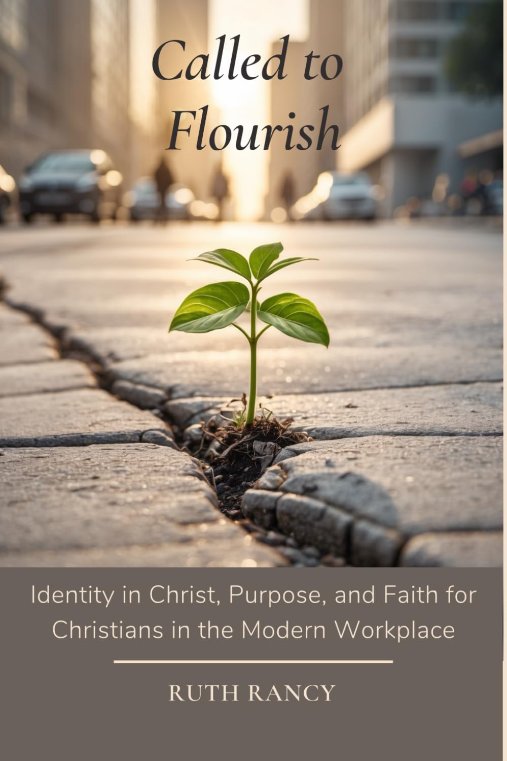 Called to Flourish: Identity in Christ, Purpose, and Faith for Christians in the Modern Workplace