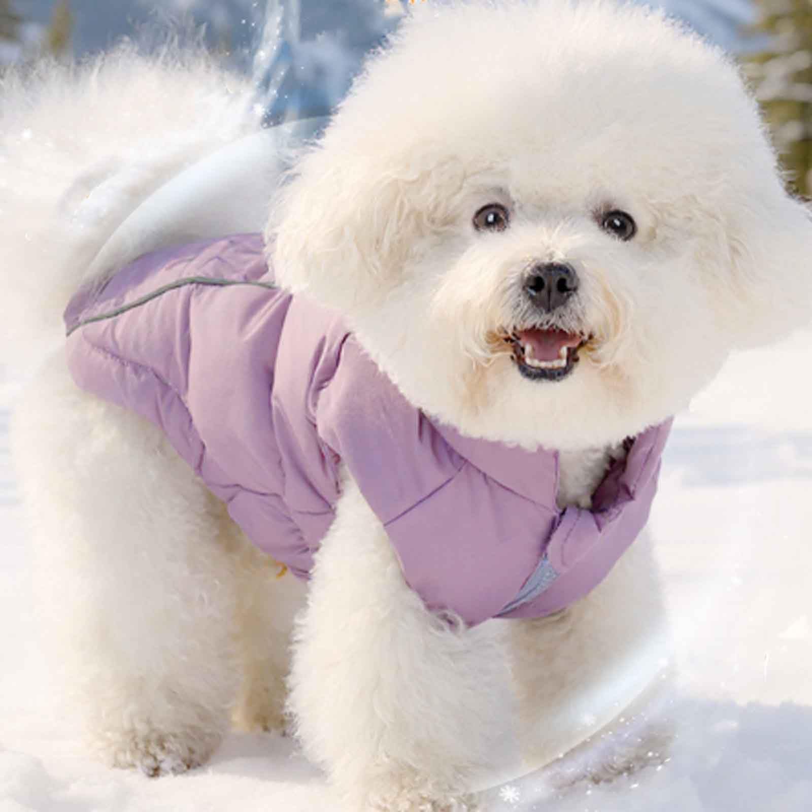Piumino per Cani Caldo, Cappottino Cane Invernale, Giubbotto Cane Inverno con Foro per Imbracatura E Strisce Riflettenti, per Cani Piccola,Viola,3XL