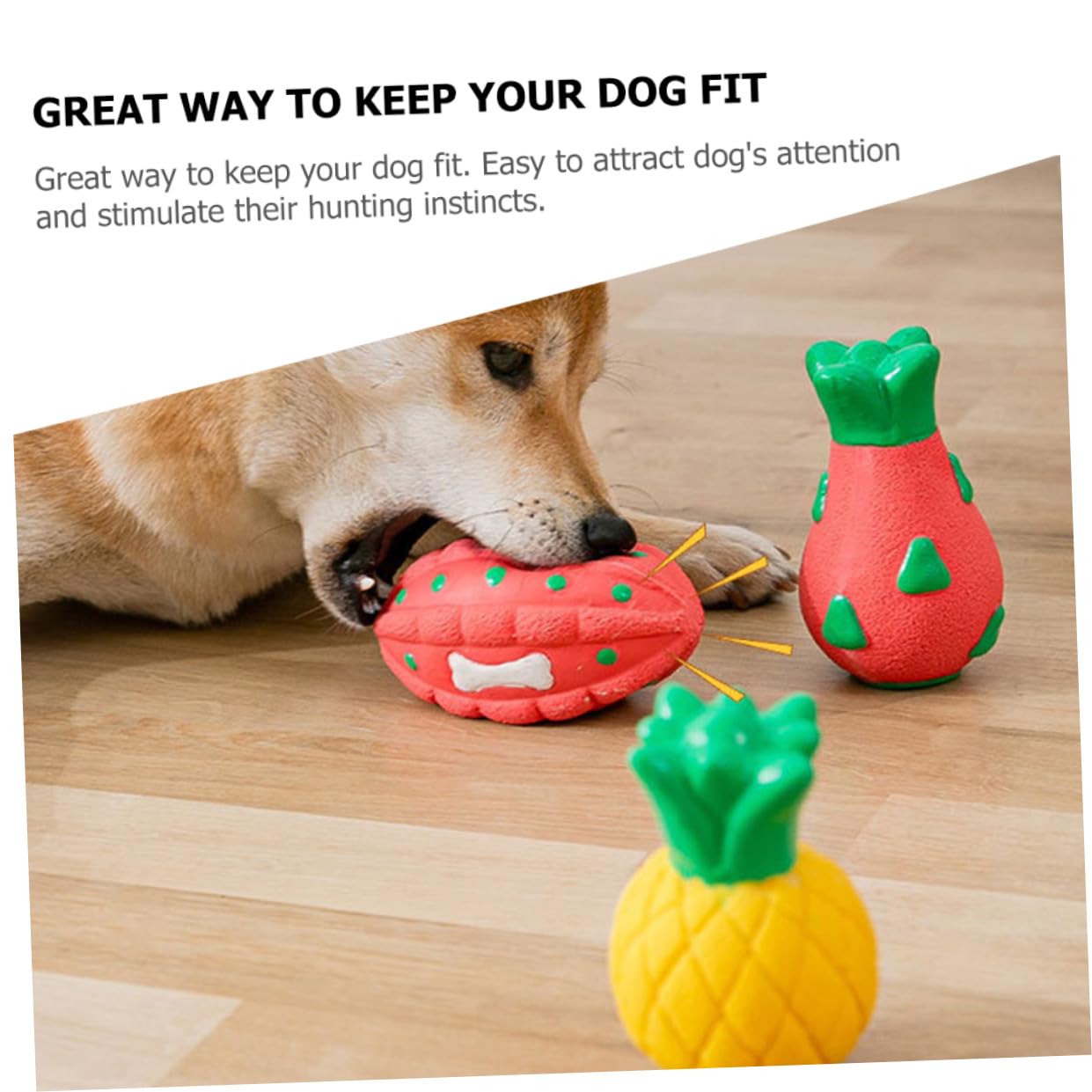 Sosoport 5stücke Titel Lustiges Kau-Spielzeug Für Hunde Interaktives Obst-Design Langlebig Und Knautschbar Für Kleine Und Mittelgroße Rassen Fördert Bewegung Und Spielspaß