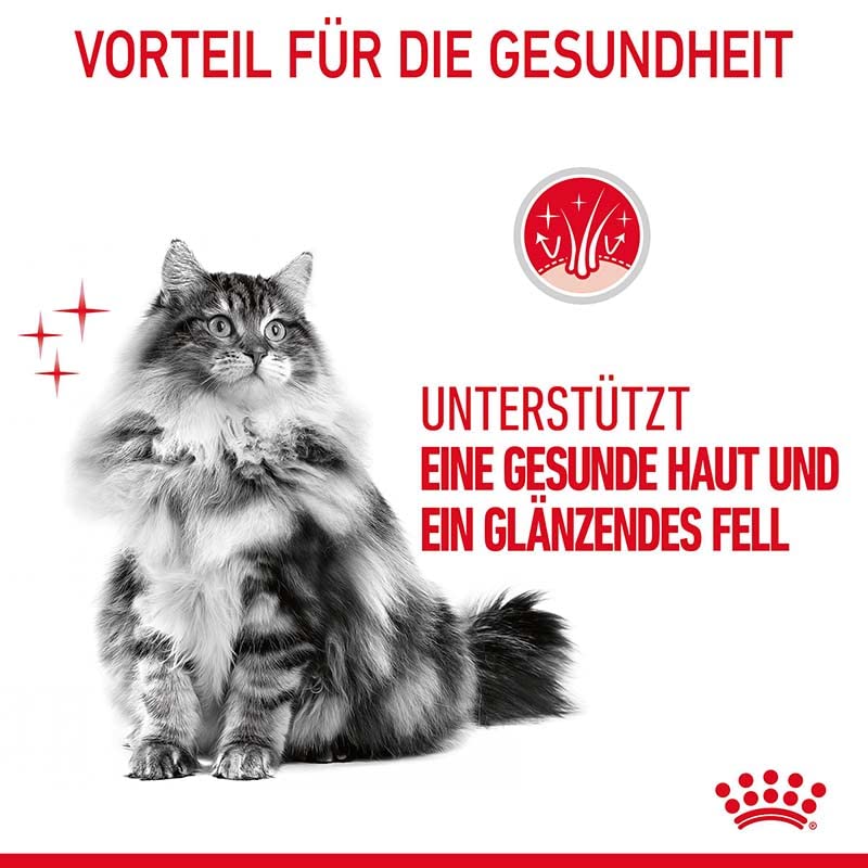 Royal Canin Hair & Skin Care Gravy | Doppelpack | 2 x 12 x 85g | Alleinfuttermittel für ausgewachsene Katzen | Feine Stückchen in Soße | Kann zu einem gesundes Fell beitragen