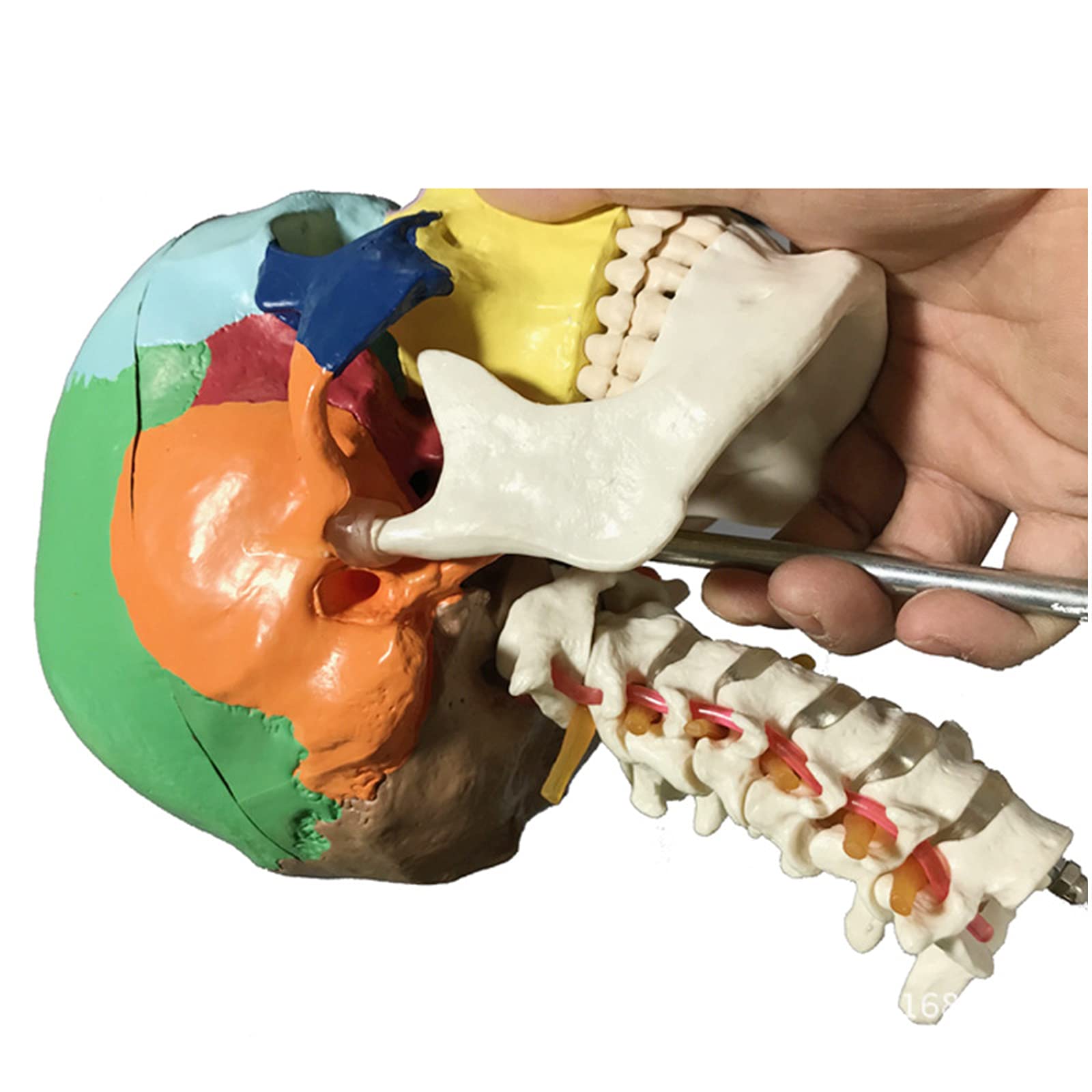 Palline vaginali, rinforzare i muscoli pelviani, da donna, attrezzatura di allenamento per esercizi del pavimento pelvico, palloni di Kegel