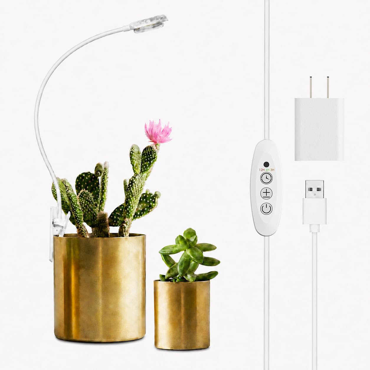 Amazon.co.jp: SANSI【小型鉢植え向け・2026最新型】植物育成ライト