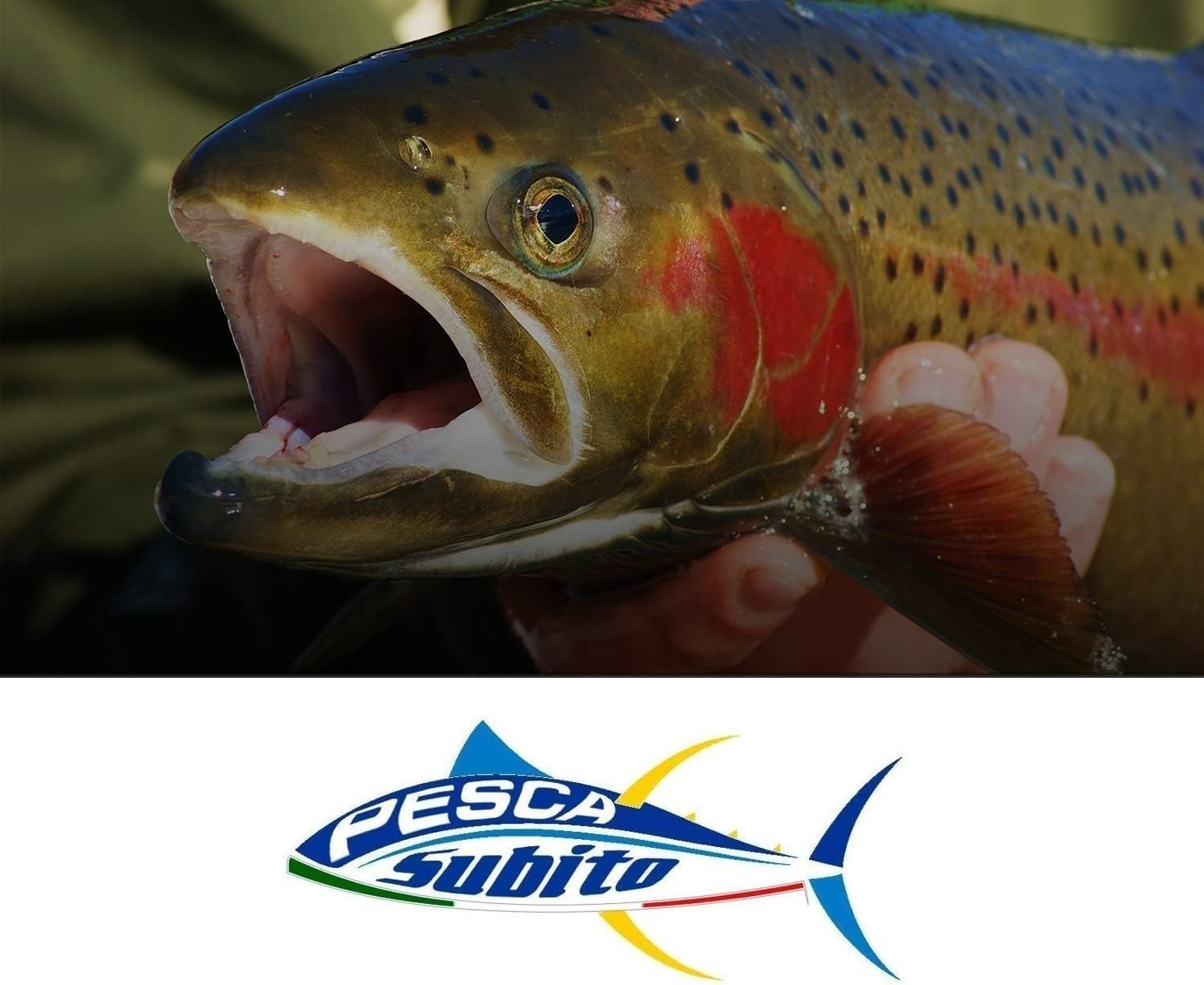 Kit 30 Spoon Pesca Trota Big Spinning Trout Area Ondulanti Artificiali Lago
