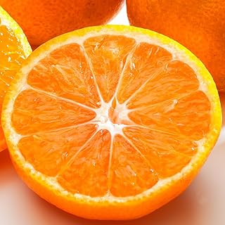 【Amazon.co.jp限定】【訳あり/サイズ不選別】 和歌山みかん約4.5kg《2025年11月中旬-2026年1月中旬頃出荷》たっぷり ご家庭用 2L～2S 産地直送 みかん 旬 蜜柑 ミカン 柑橘 果物 フルーツ 和歌山県 紀の川市 小容量 和歌山県紀の川市