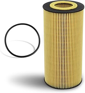 FLYPIG Engine Oil Filter FL-2016 6.0L & 6.4L Powerstroke Diesel for Ford F250 F350 F450 E450 F550 F650 Super Duty Excursion International 3200 3300 3C3Z-6731-AA 3C3Z6731AA 3C346731AB FL2016