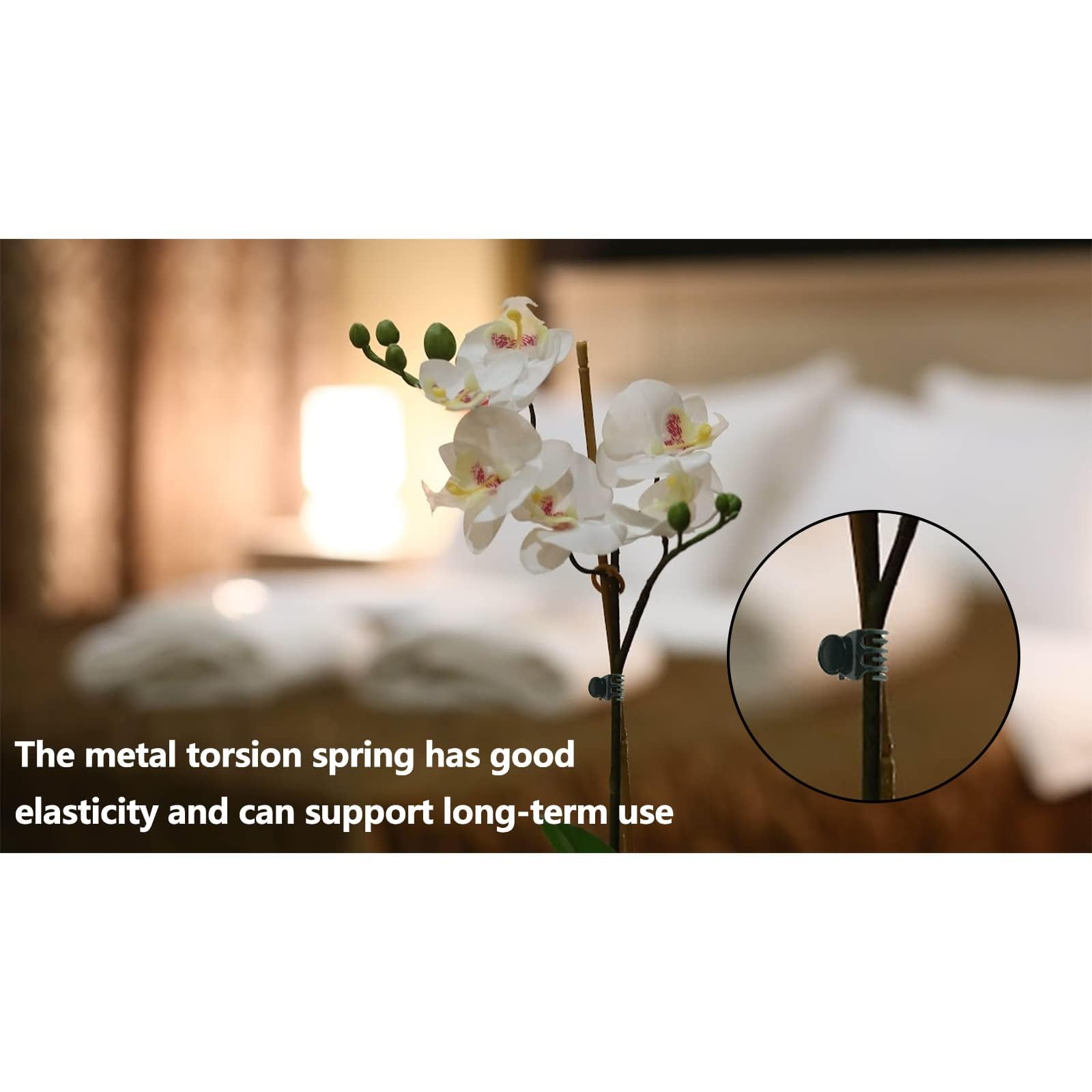 Lot De 20 Clips Muraux Autocollants Pour Plantes Grimpantes