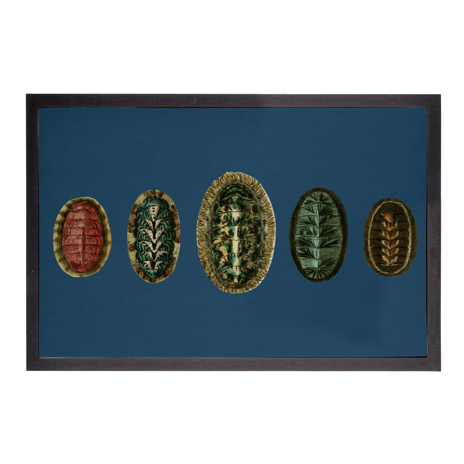 Paillasson bleu mollusques multicolores pour sublimer votre entrée
