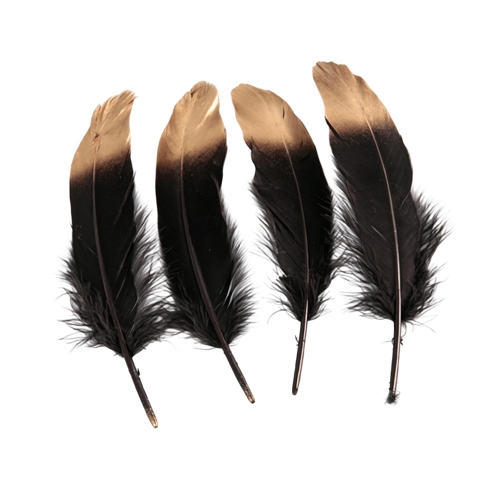 Buxuaaaa 50Pcs Gold Sprayed Hard Colorful Plumage for Projects and Party Decorations Party Decoration Quills