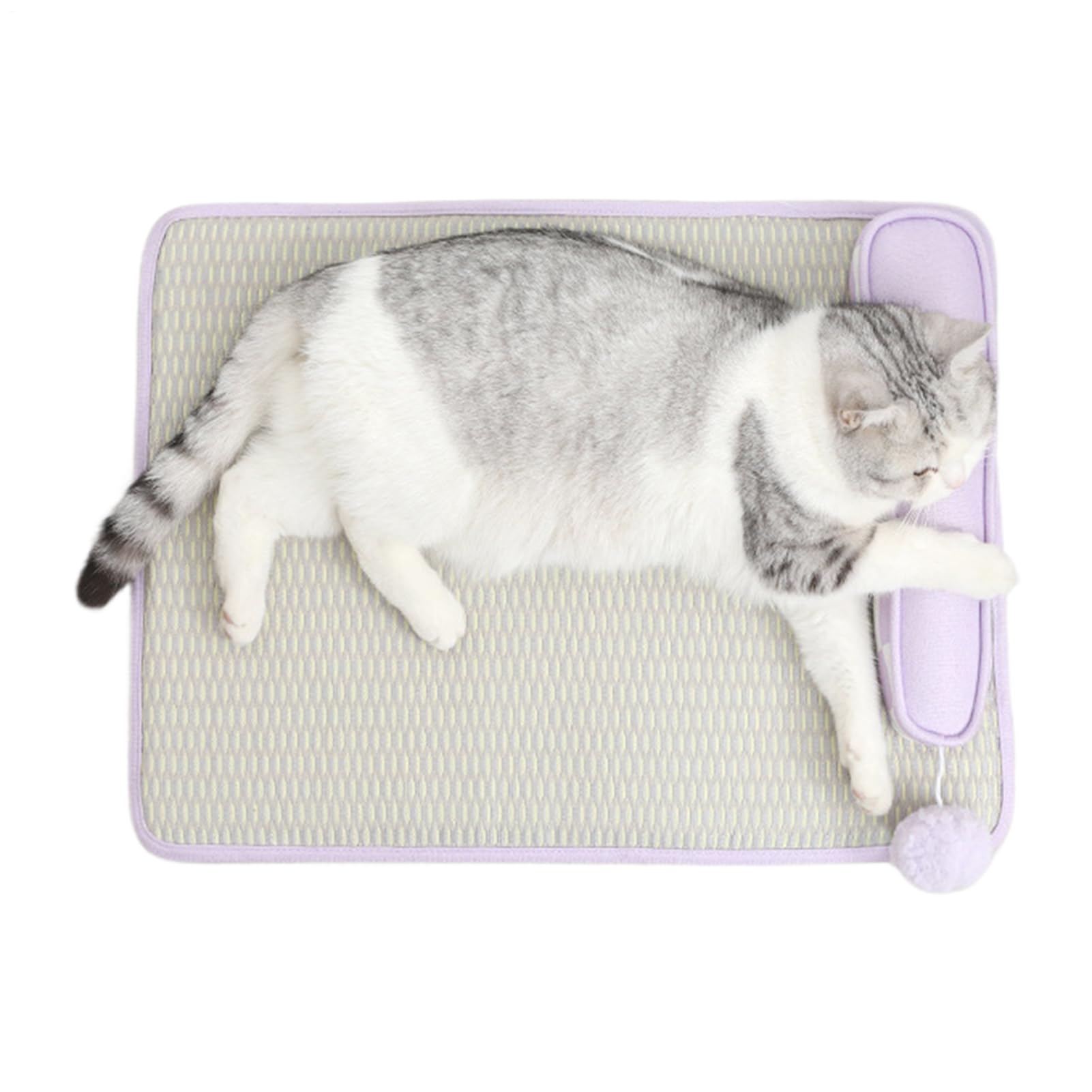 Coussin rafraîchissant pour chien avec oreiller intégré tapis léger de sieste pour la maison
