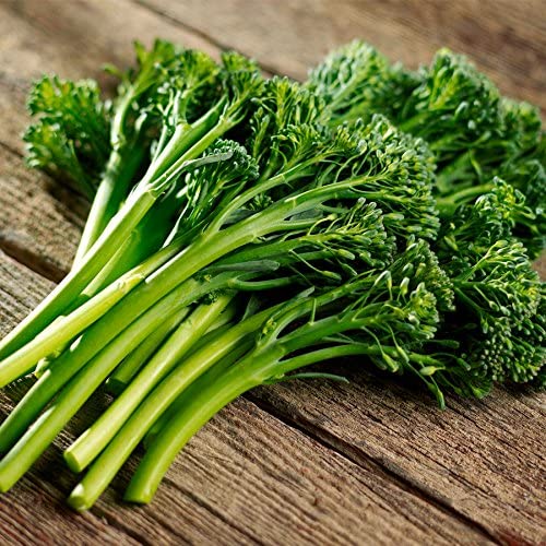 VibeX BROCCOLINI™-250 Seeds (B0B9Y5165R) Amazon Price History, Amazon Price Tracker