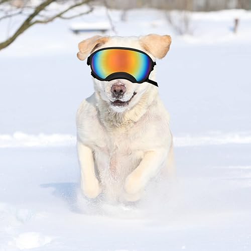 Miniatura 5 de Gafas de sol grandes para perros, gafas para mascotas, con correa ajustable, gafas para perros medianos y grandes, para natación, patinaje, a prueba