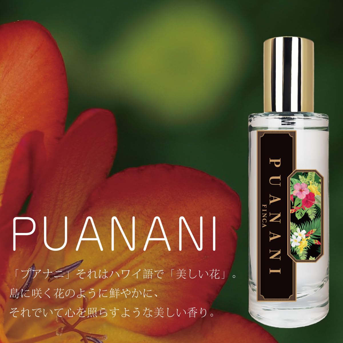 Amazon | FINCA フィンカ プアナニ 香水 オードトワレ 30mL トロピカル