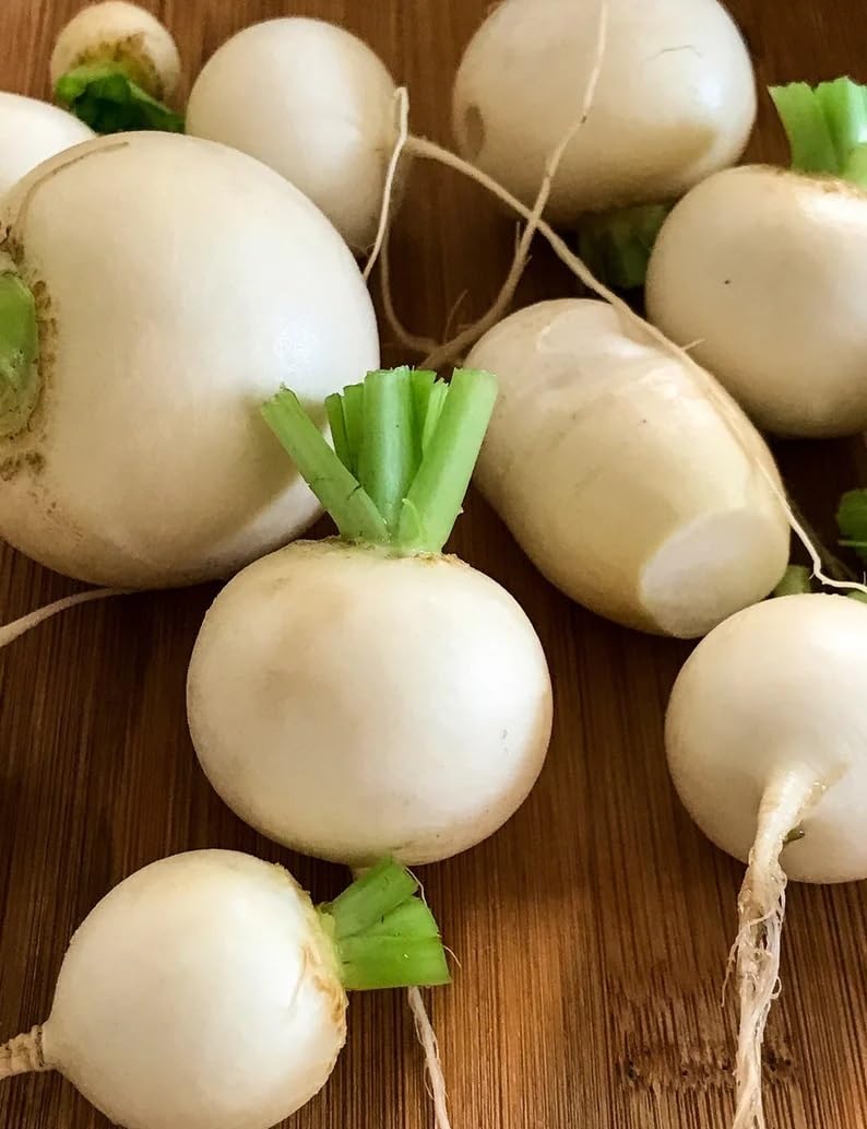 Willvine White Ball Turnip/Shalgam-XLI-6A-image-8