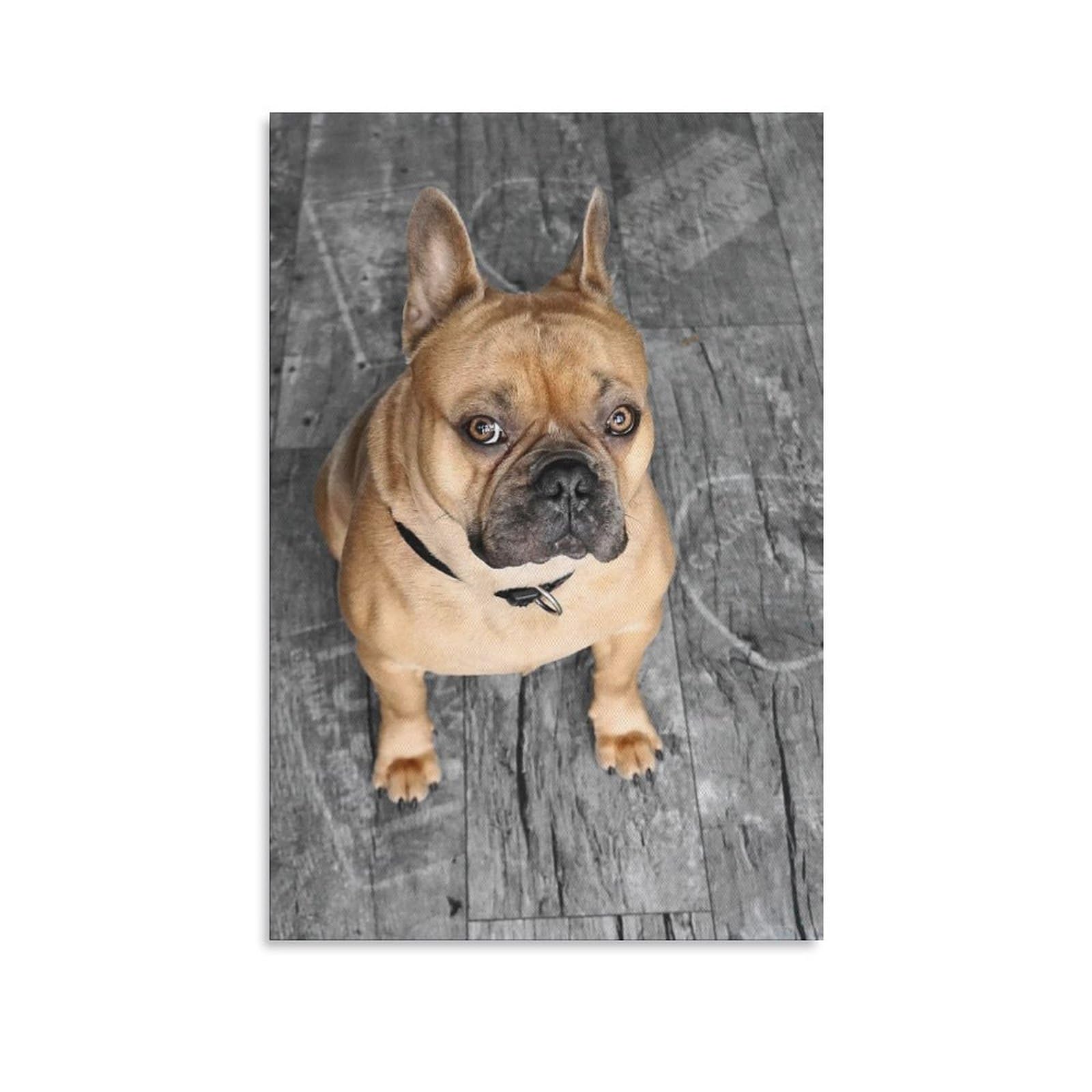 Poster Toile Bouledogue Français - 50 X 75 Cm (20x30 Pouces) - Impression HD, Imperméable - Décoration Murale Chambre, Salon - Fourni Avec Kit De Fixation - 4