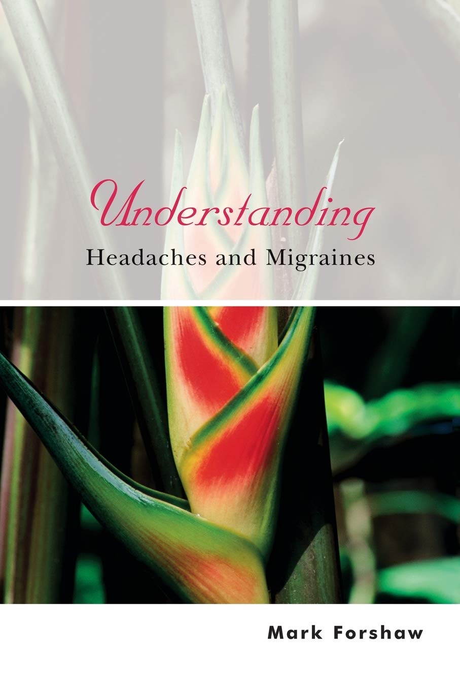 Understanding Headaches and Migraines: 6 (Understanding Illness & Health)