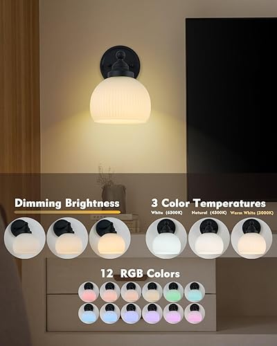 Miniatura 5 de HEQIQEH Lámpara de pared vintage recargable con pilas con control remoto, pantalla de vidrio blanco acanalado regulable para montaje en pared para