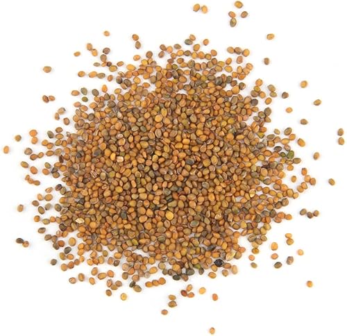 Miniatura 9 de Semillas de rúcula silvestre (3200 semillas)