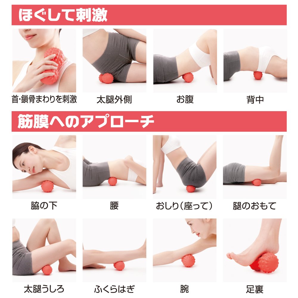 Amazon | アルファックス マッサージボール ストレッチボール ツボ押し