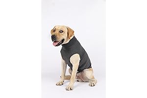 Weighted Anxiety Vest Calms Canines During Thunderstorms, Travel, and Veterinary Visits