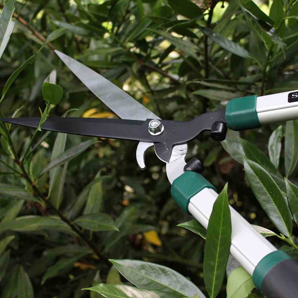 Siena Garden 358332 - Tijera de Podar, Podadora de Mano, Herramienta Manual de Jardinería