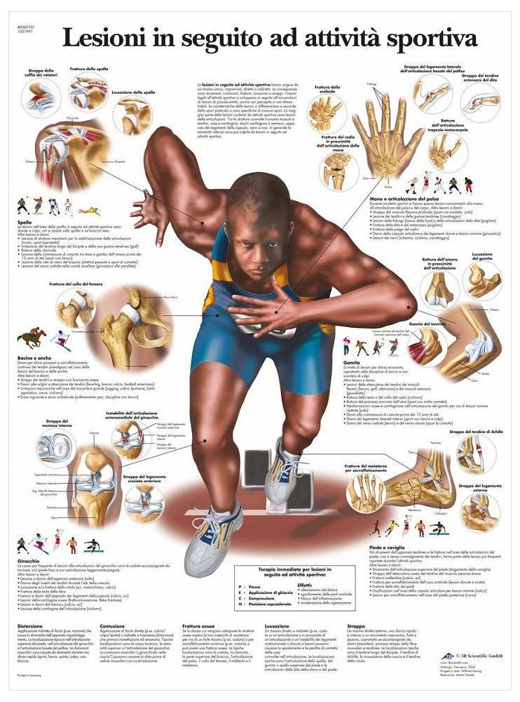 3B Scientific – Laminated Human Respiratory System Chart – UV & Dust-Protected Anatomy Poster for Study, Teaching & Clinics