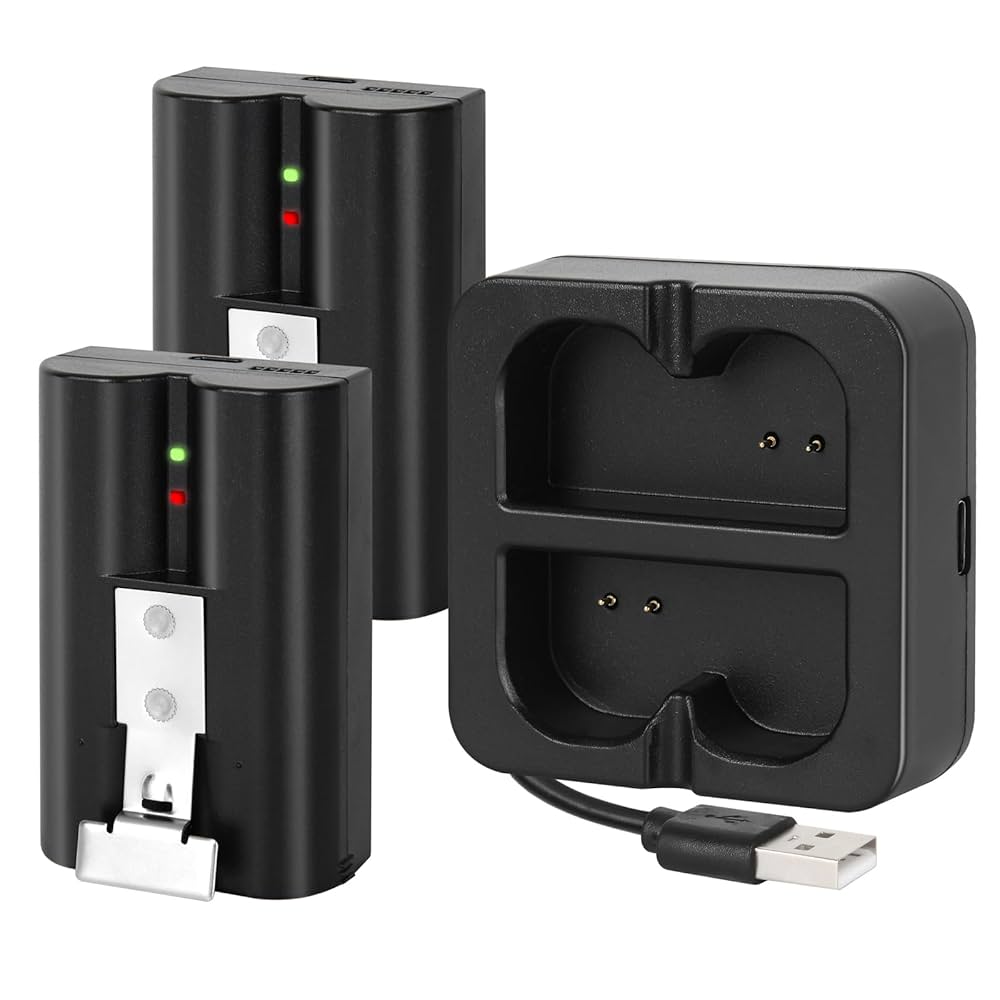 Amazon.com: 2-Pack Replacement Batteries with Charging