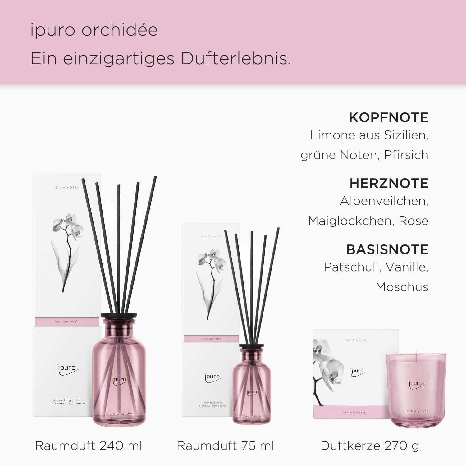 ipuro - sinnlicher ipuro orchidée Raumduft - dezenter Raumerfrischer mit fruchtigen Duftnoten - eleganter Lufterfrischer in der Wohnung für ein puristisches Dufterlebnis 240 ml