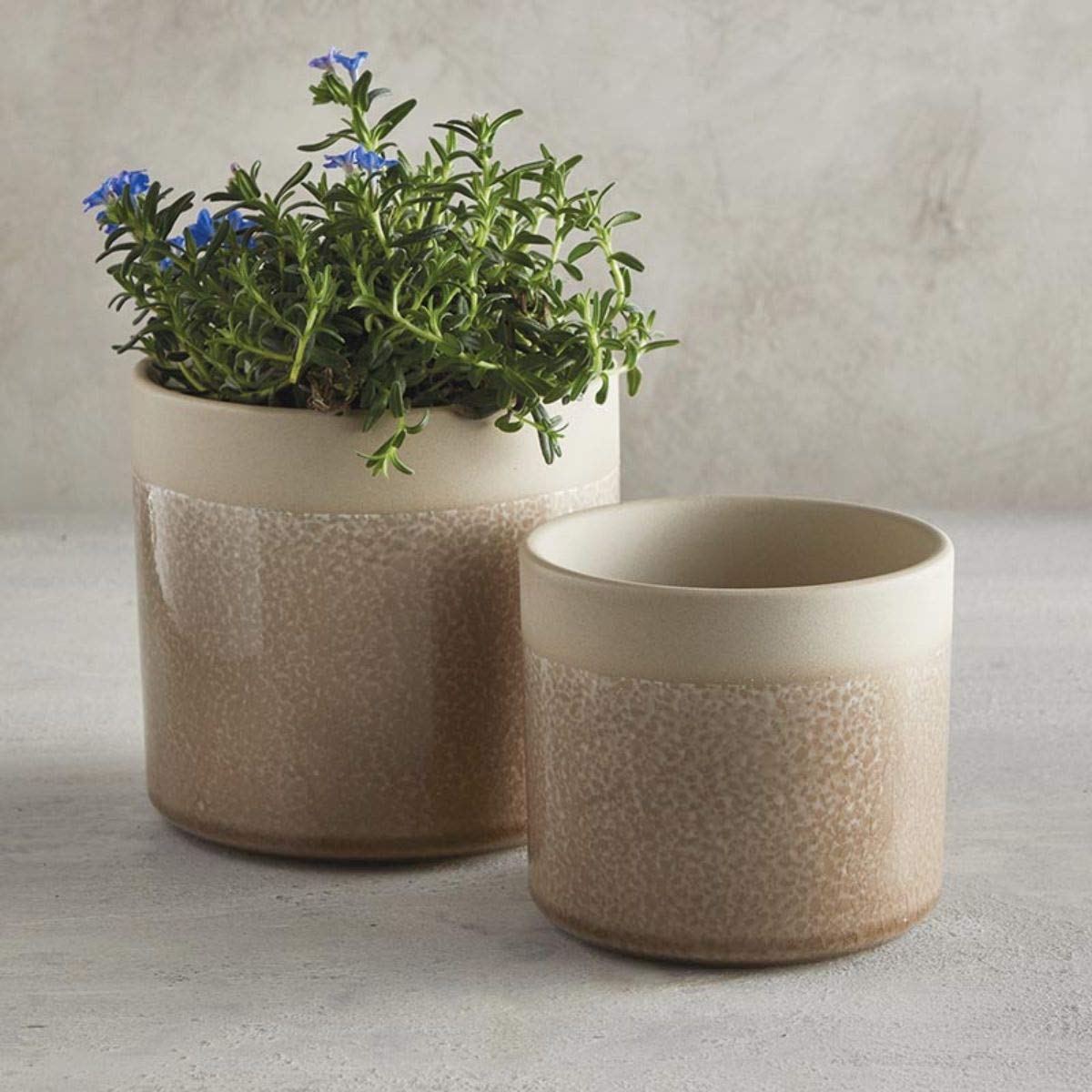47th & Main Igel-Keramik-Blumentopf – 8,9 X 8,9 Cm, Niedlicher Übertopf Für Sukkulenten Oder Deko, In Tierform