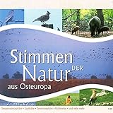Stimmen der Natur aus Osteuropa
