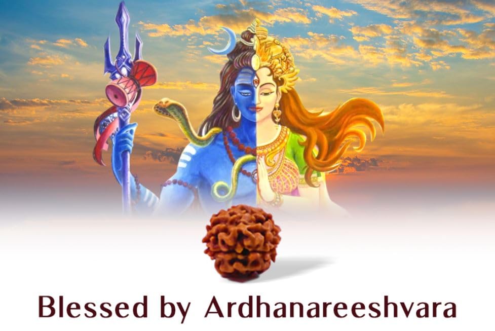 Astro Cart Do Mukhi Rudraksa Pendant 2 Mukhi Rudraksha Nepal Bead Two Face Rudraksha with Lab Certificate दो मुखी रुद्राक्ष 2 Face Rudraksha Original for Savan Puja 1
