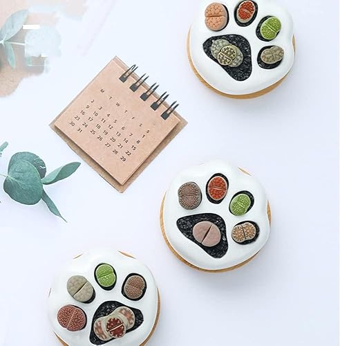 Miniatura 4 de Primst Macetas de cerámica para suculentas con bandeja de bambú, macetas de interior con orificio de drenaje, maceta decorativa para oficina,