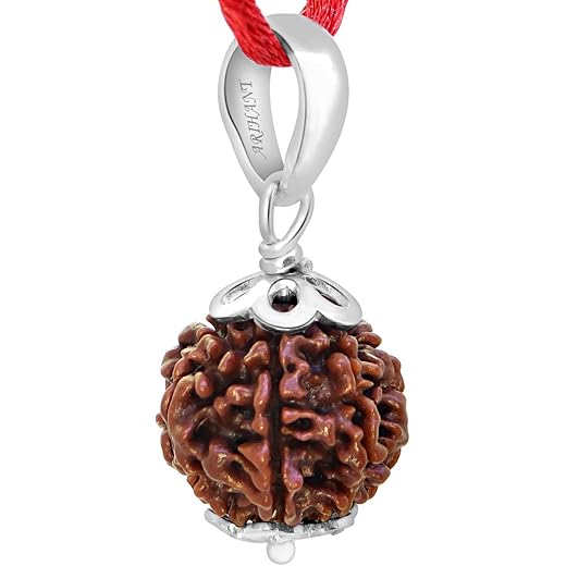 7 Mukhi Rudraksha Pendant with Silver