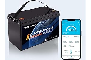 12V 100Ah LiFePO4 100 Amp Lithium Battery with Bluetooth