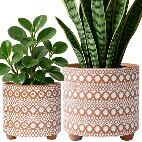 D'vine Dev Set of 2 Terracotta Planter Pots, 6 Inch