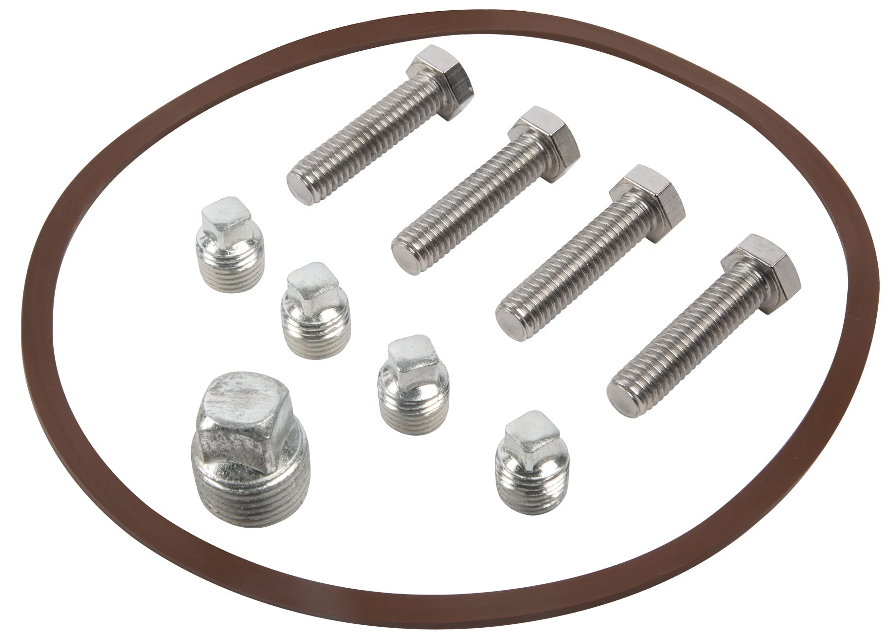 Red Lion305584013 Gasket/Hardware Repair Kit for All RJS-PREM Series Shallow Well Jet Pump Models, Steel/Black