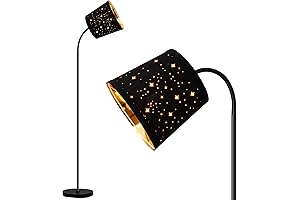 Alluring Star Floor Lamp: Grace Your Space with Celestial Elegance
